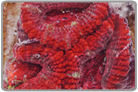 Red Acan Lord